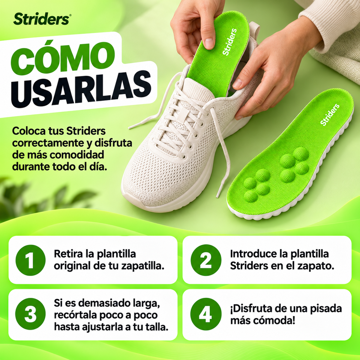Plantillas de masaje